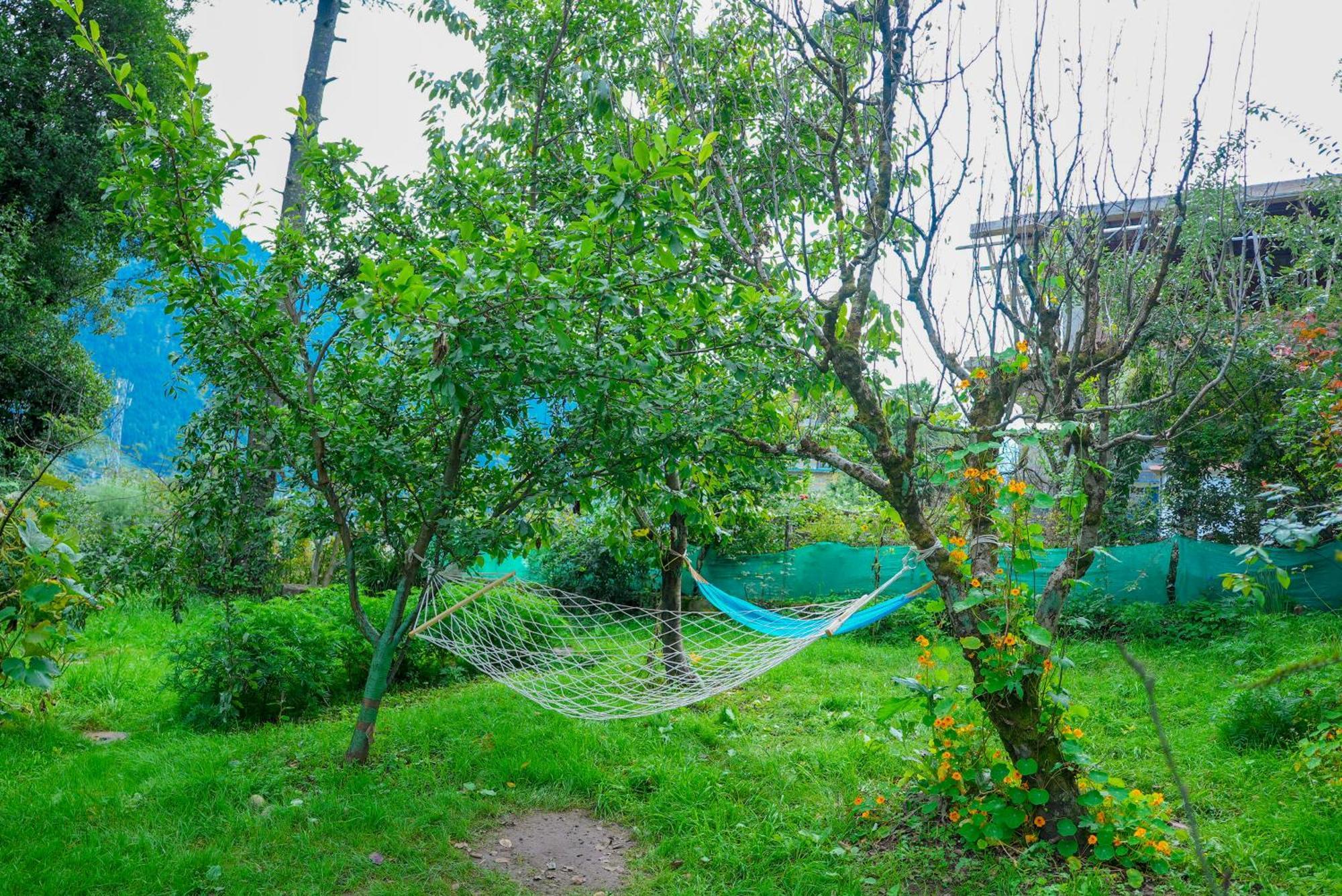 The Manu Emerald # Farmhouse # Top Selling Cottage In Manali # Peaceful Heritage Cozy Stay # Lawn With Bonfire # Most Awarded Εξωτερικό φωτογραφία